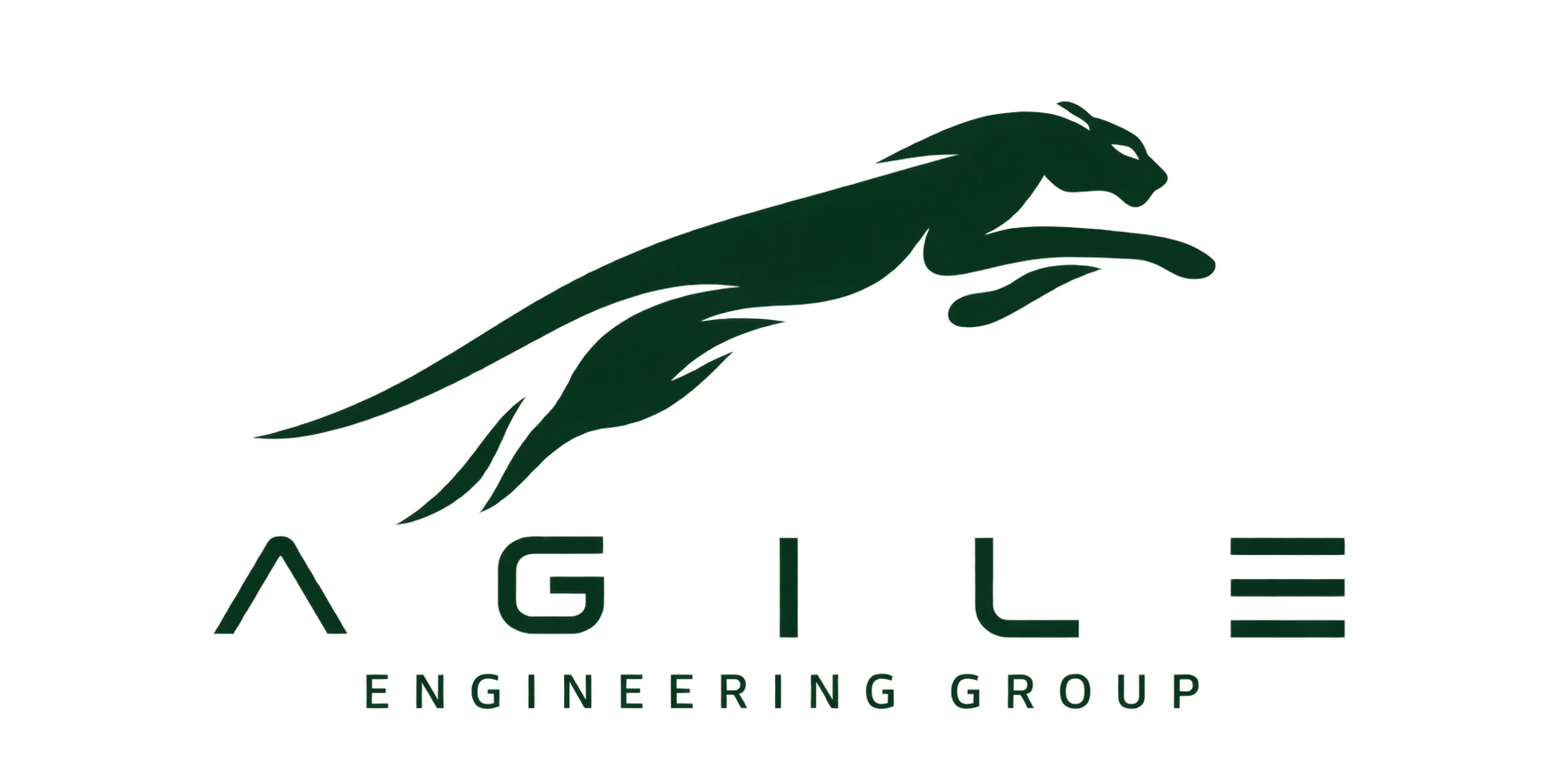 Agile Engineering Group